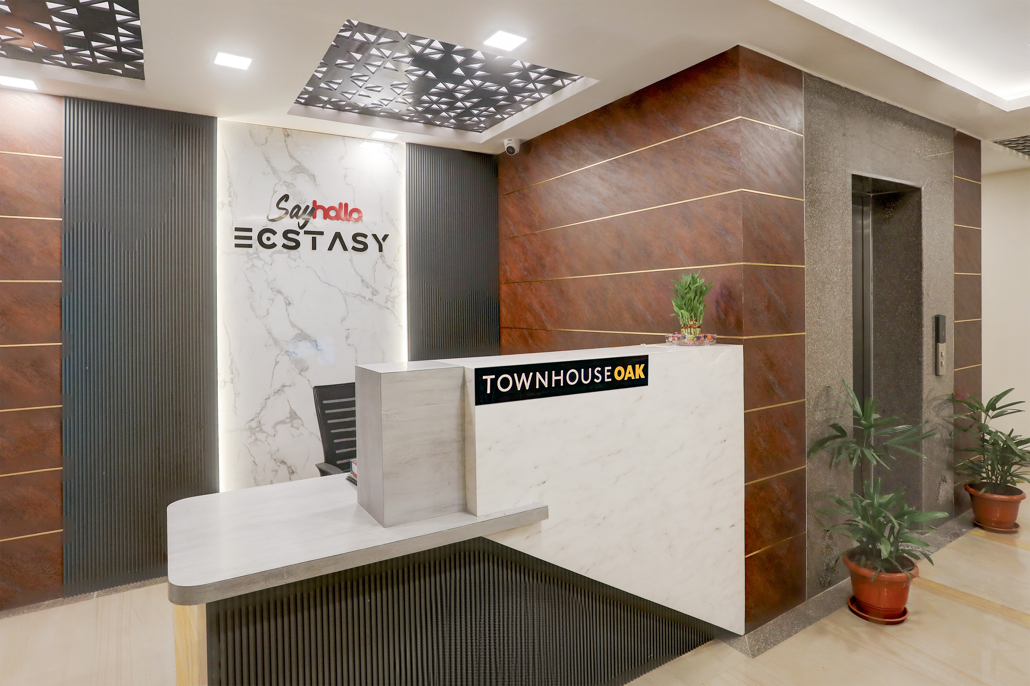 Ecstasy - 0I8A2073_4_5 copy